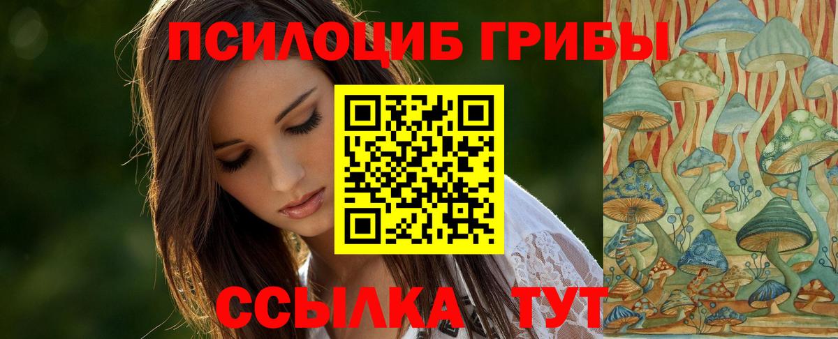 Псилоцибиновые грибы прущие грибы  Псилоцибиновые грибы GOLDEN TEACHER  Вход с VPN  Камень-на-Оби 